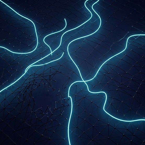 Six bright threads winding across a dark lattice, each one followable, none passing near the torn region where connections hang snapped