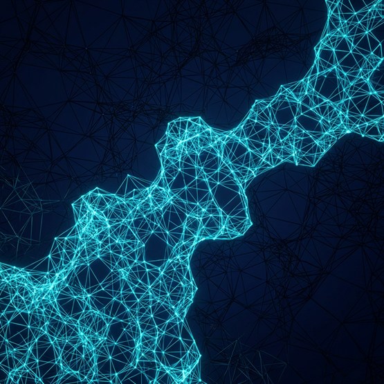 One lattice of nodes and connections, brightly lit inside an irregular boundary and identical but unlit beyond it